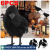 Simulação Fake Black Crow Realistic Halloween Model Decoração De Casa Animal Brinquedos Assustadores Leves