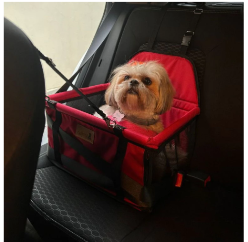 Cadeirinha Assento Cadeira Pet de Carro para Cães Cachorro Gatos ATÉ 10KG -Transporte Passeio Viagem