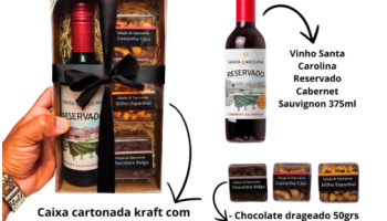 Kit Vinho Cabermet Santa Carolina 375ml + Petiscos
