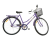 Bicicleta Aro 26 Monark Tropical Freio Varão em Aço Carbono – Roxo