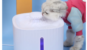 Bebedouro Fonte de Água Elevado Automático Com Filtro 3 Estágios Para Pet Cachorro Gato 3 Litros