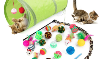 Conjunto De Brinquedos Para Gatos De Estimação , 21 Peças , Canal De Gato , teaser Brinquedo De Combinação De mouse De P