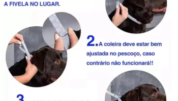 Coleira Anti-Pulgas e Carrapatos para Cães e Gatos – Proteção 8 Meses, Ajustável e Impermeável