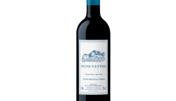 Vinho Tinto Português Quinta de Bons Ventos 750ml