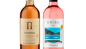 Kit 2 Vinhos Rosé Chilenos Tantehue/ Vistamar Brisa