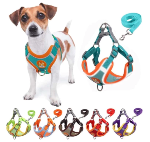 Coleira Peitoral para cachorro pequenos e médios com guia para pet colete confortável