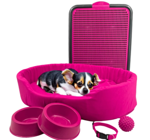 Kit Pet Pequeno Cama Europa Sanitário Comedouro Coleira Bola