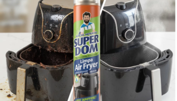Kit Limpa Air Fryer Spray 250ml – Desengordurante Remove Gordura, Seguro p/ Antiaderente
