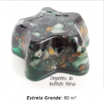 Estrela de Orgonite