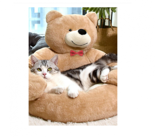 Caminha Pet Premium Cães e Gatos Tamanho Pequeno Porte