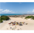 Pacote – Natal – Voo + Hotel – 2024