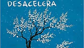 As coisas que você só vê quando desacelera: Como manter a calma em um mundo frenético