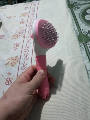 Escova Rasqueadeira Tira Pelos Pet Cães e Gatos (Azul)