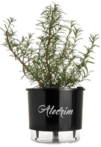 Vaso Auto irrigável Médio N03 Preto Alecrim Linha Gourmet 16cm x 14cm
