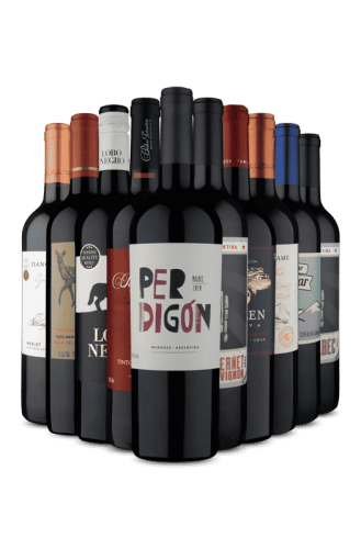 Kit 10 – Seleção de Tintos Premium (10 Vinhos)