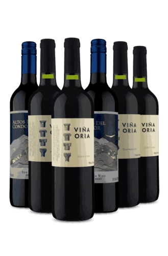 Kit 6 Tintos Curtindo Altos e Viña Oria (6 Vinhos)