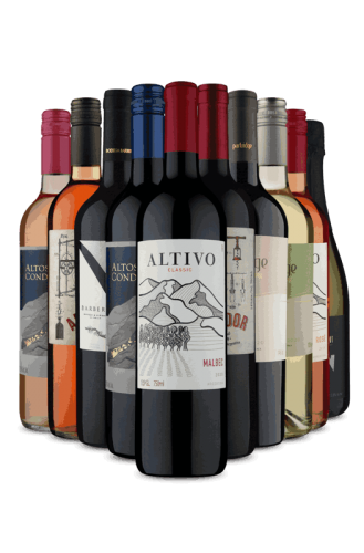 Kit Misturas Argentinas (10 Vinhos)
