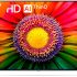Smart TV LED 32″ HD AOC 32S5135/78G – Design sem bordas, Wifi, Conversor Digital, USB, HDMI